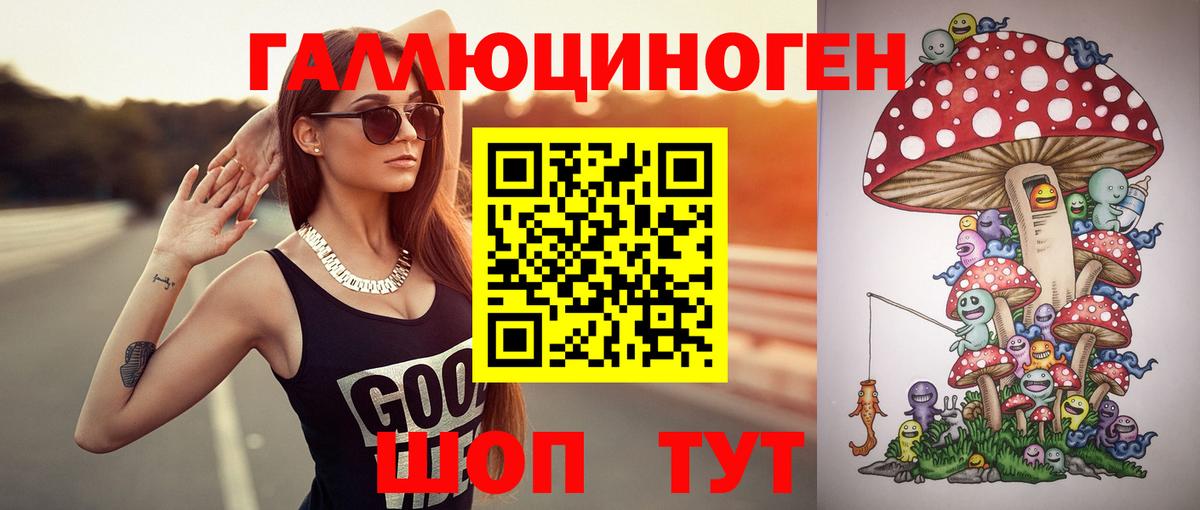 Галлюциногенные грибы Psilocybe Улан-Удэ